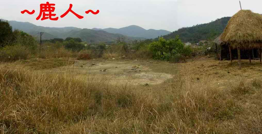 A10在穴場看朝堂照.JPG
