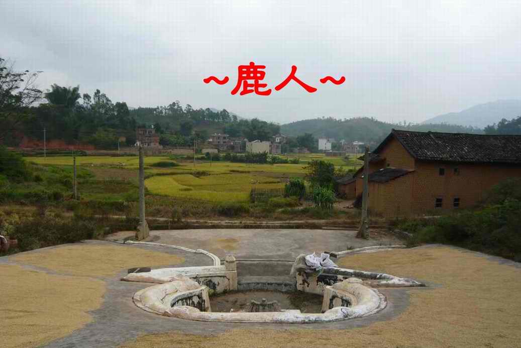 A11看將軍墓朝向.JPG