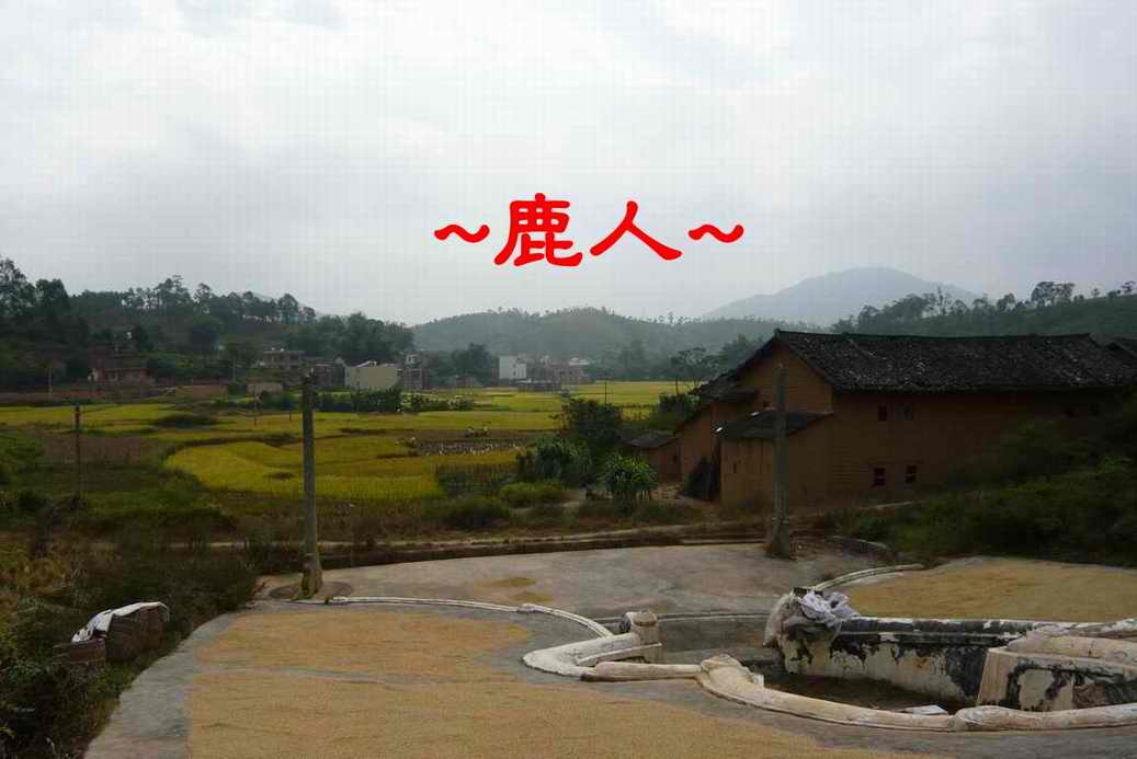 A12如果這樣為正瞧呢.JPG