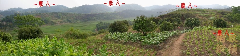 A13看束氣與虎帳砂全照.JPG