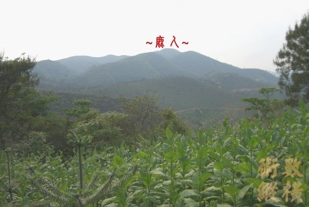 A1祖山下脈特寫.jpg