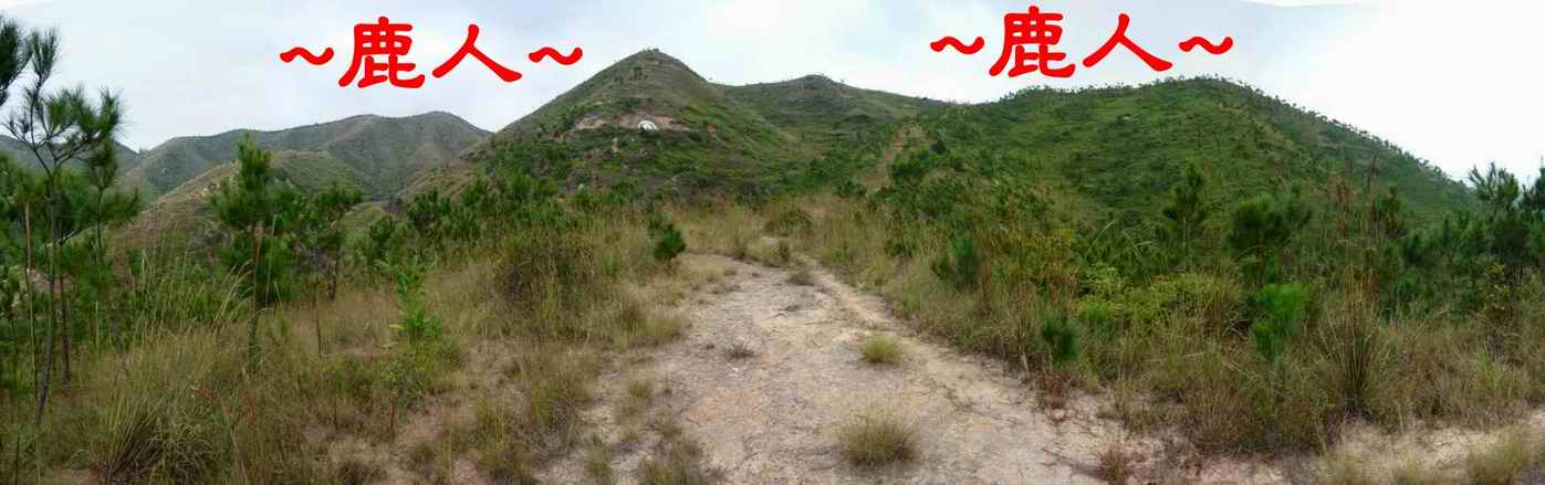 A3近看父母山下脈過峽來龍.JPG