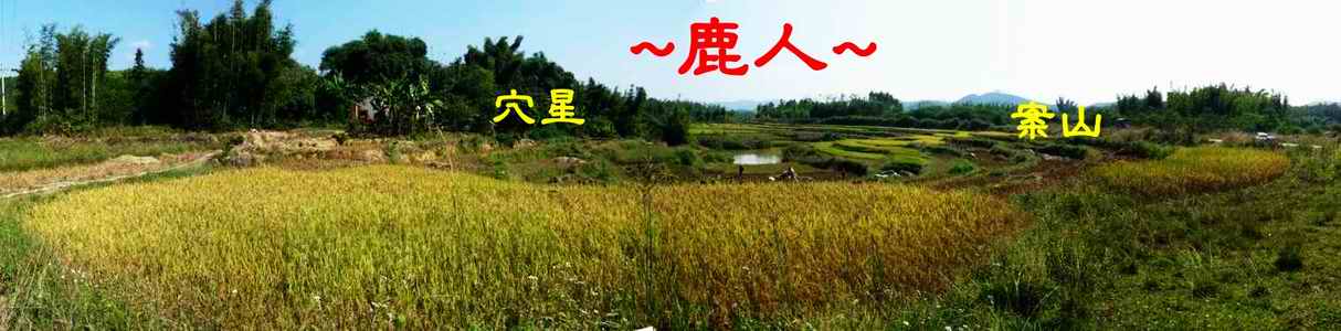 A7由下砂上側看轉為案與穴場照.JPG