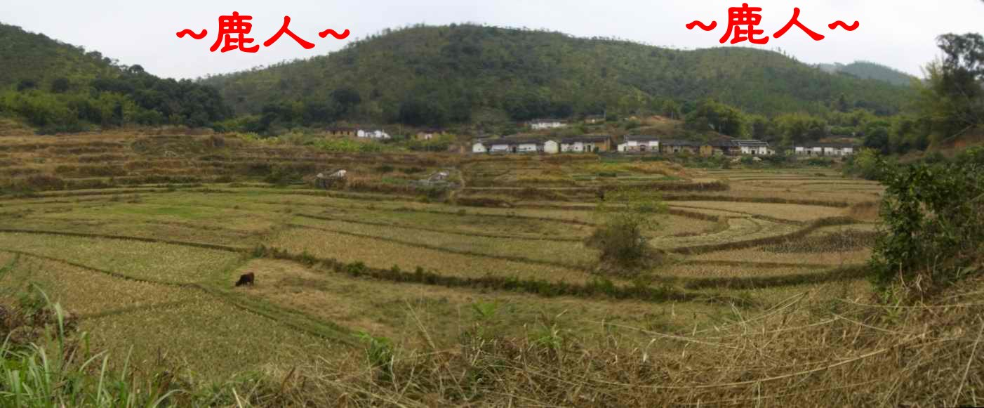 A8走在龍砂上往內看在龍虎彎抱穴場照.JPG