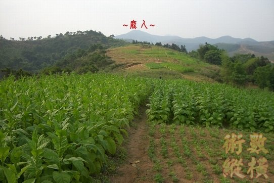 A8看之形轉折(1).jpg
