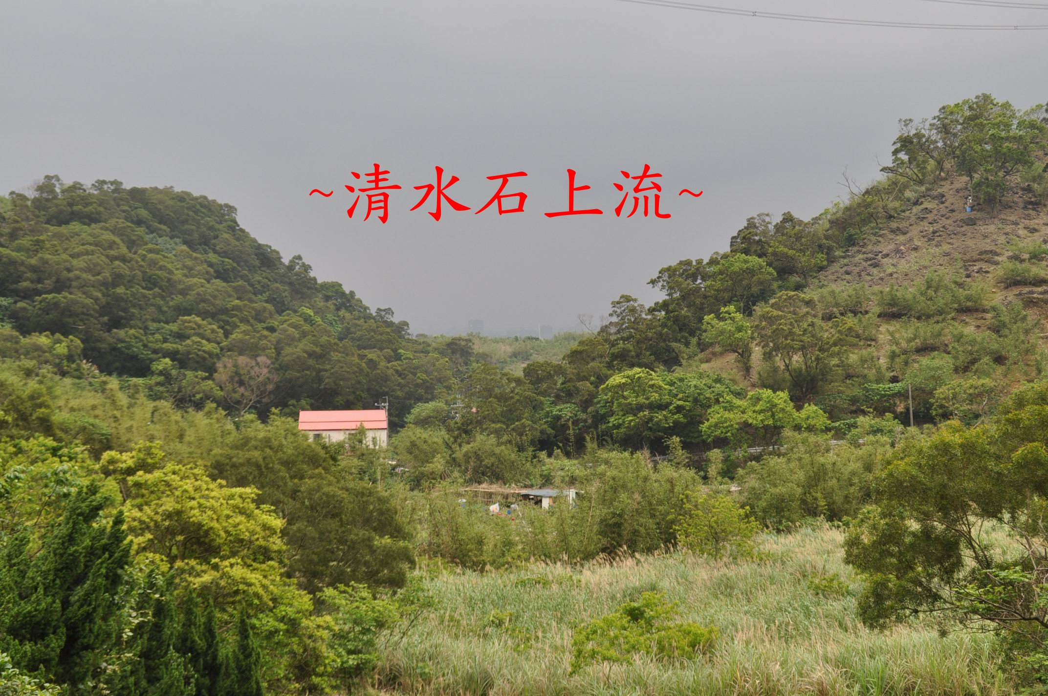 A案.jpg