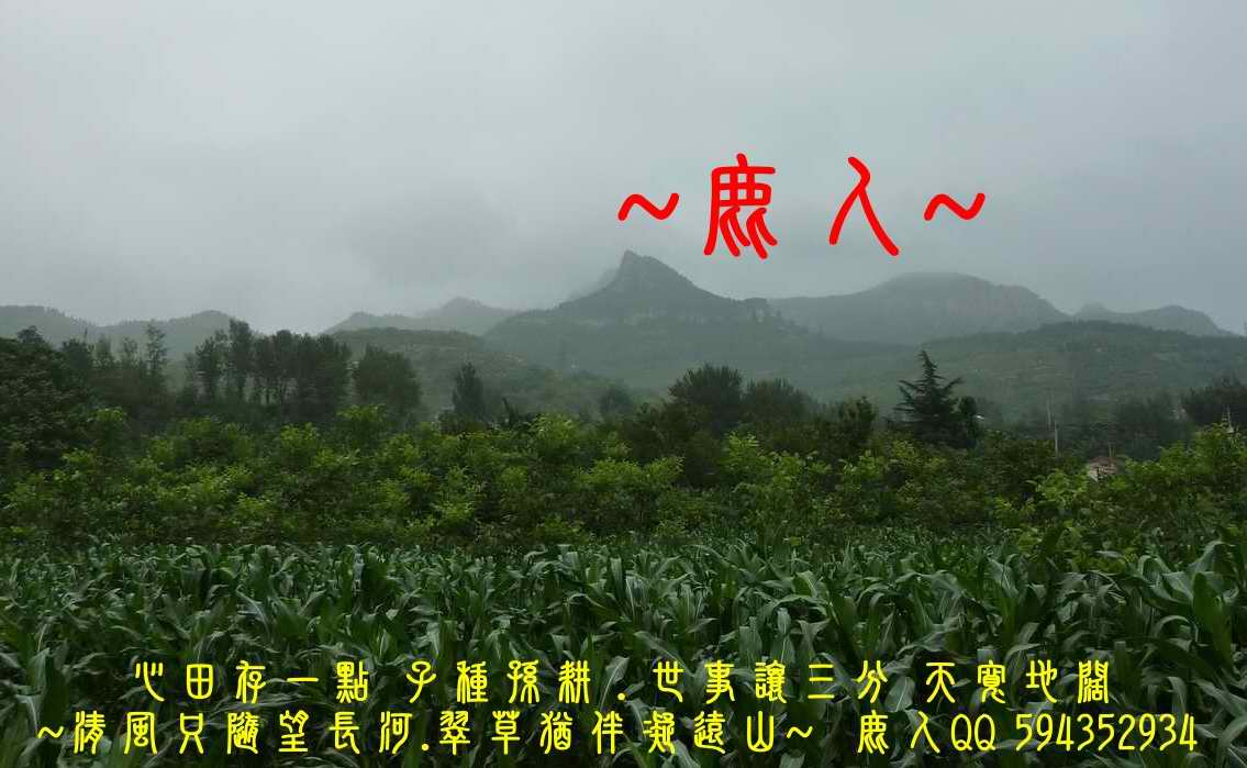 B衝宵鳳_02.jpg