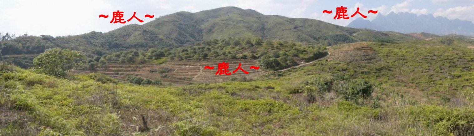 E角度看祖山與父母山下脈.JPG