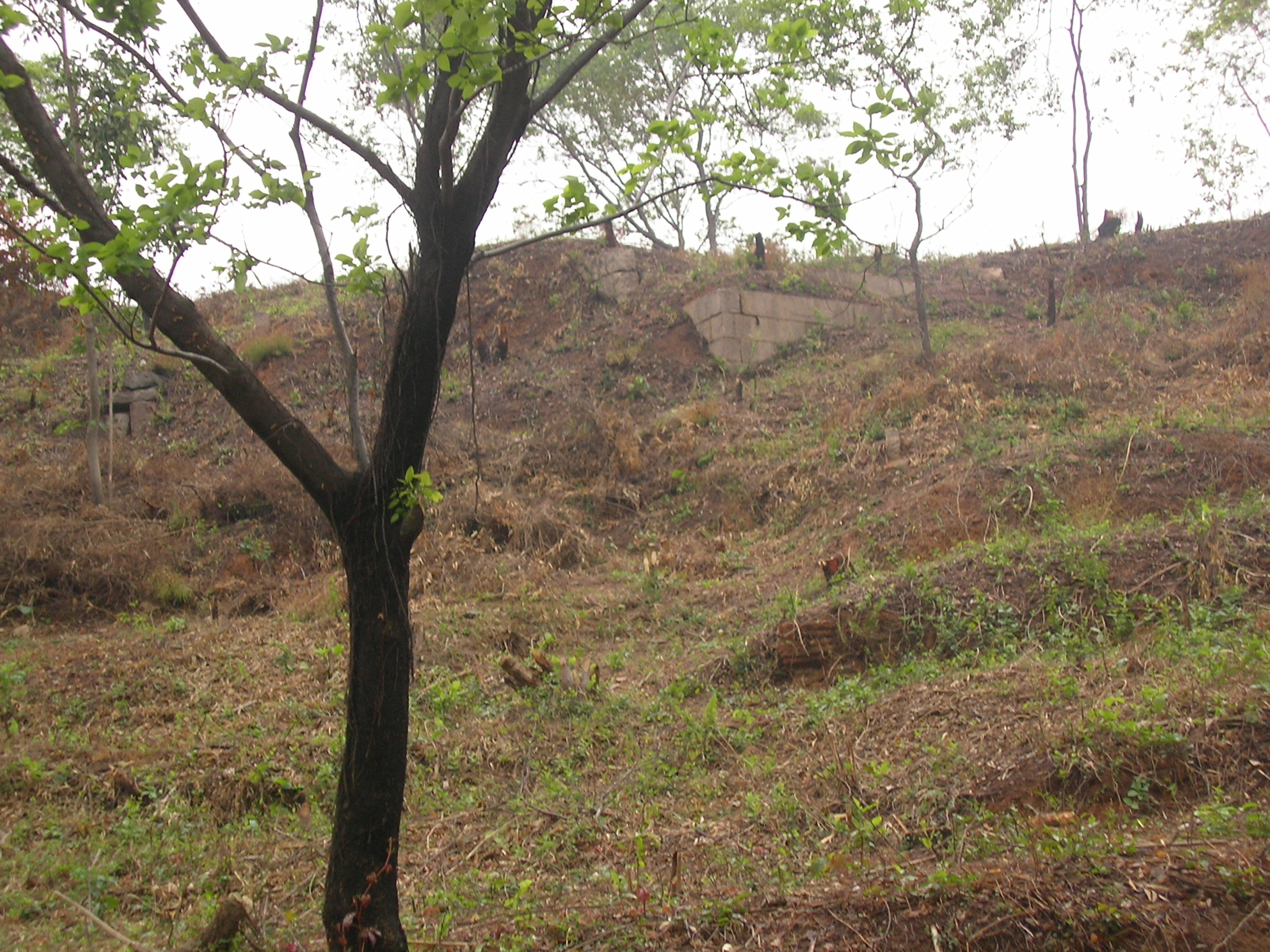 SANY0019.JPG