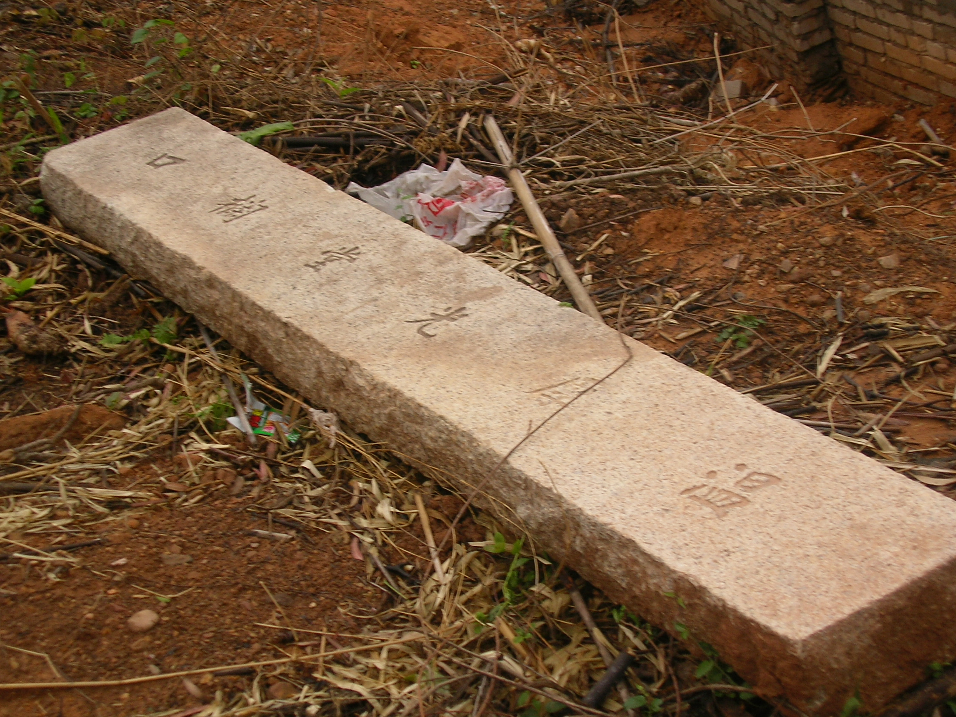 SANY0021.JPG