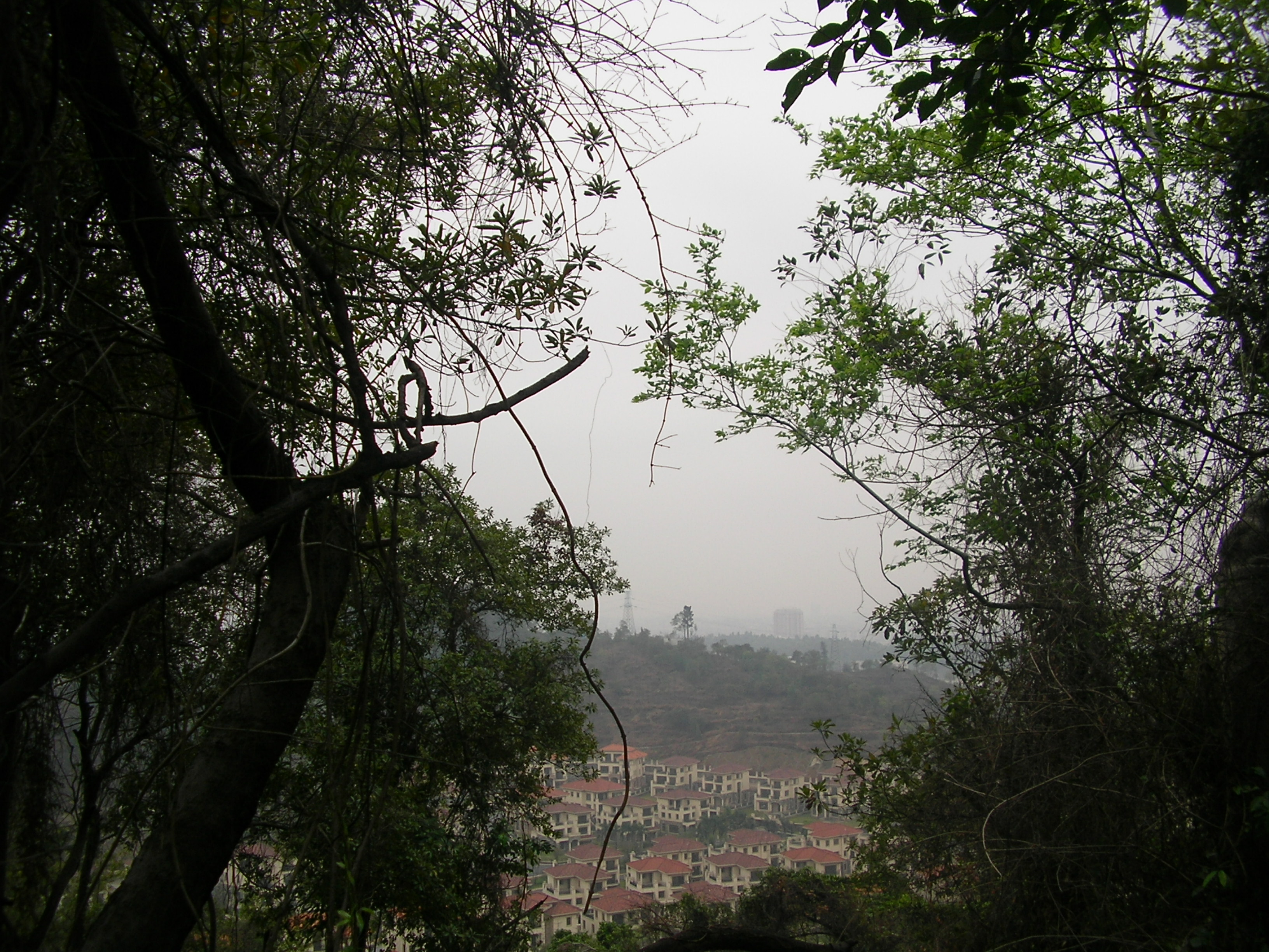 SANY0037.JPG