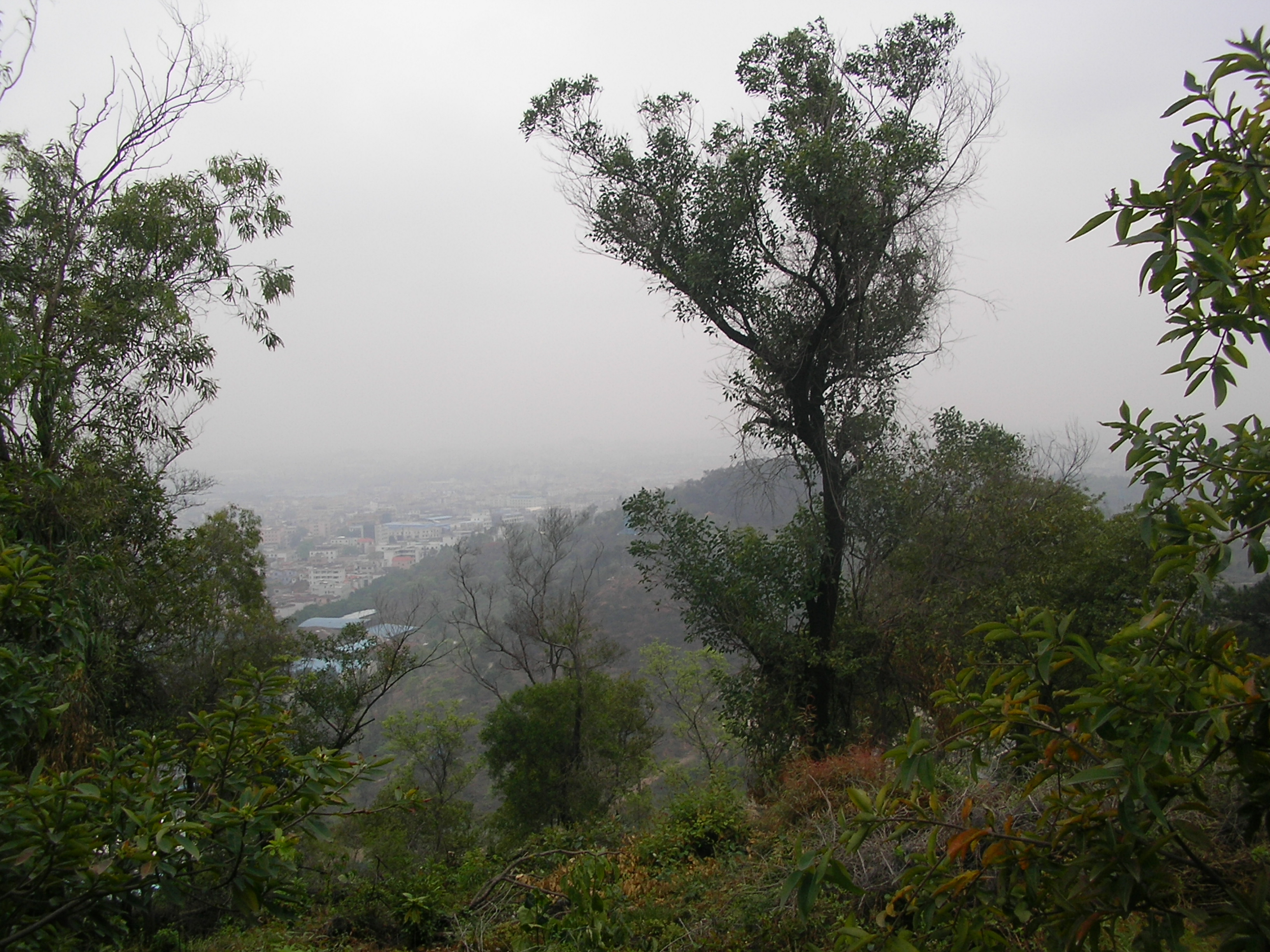 SANY0053.JPG