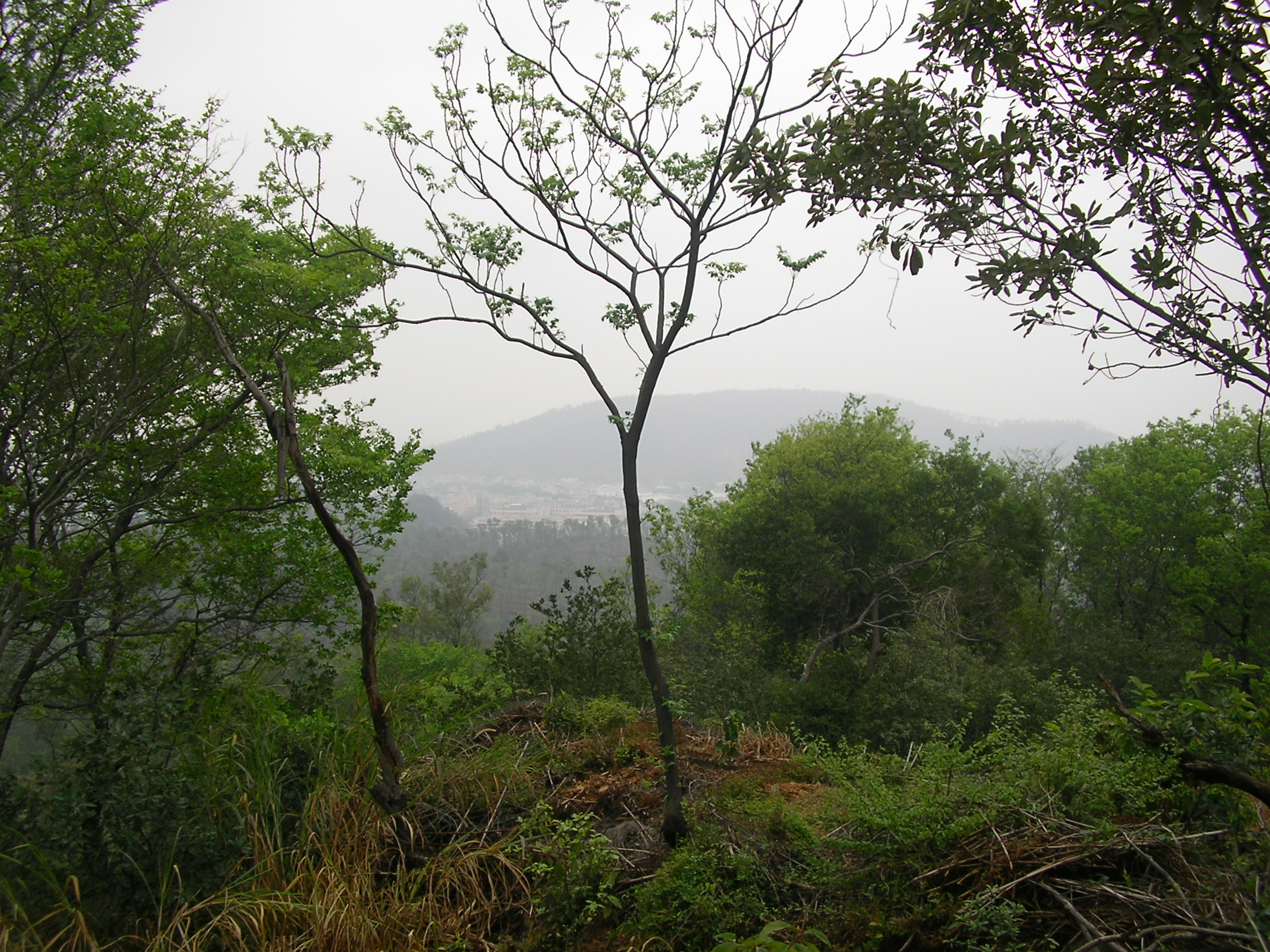 SANY0055.JPG