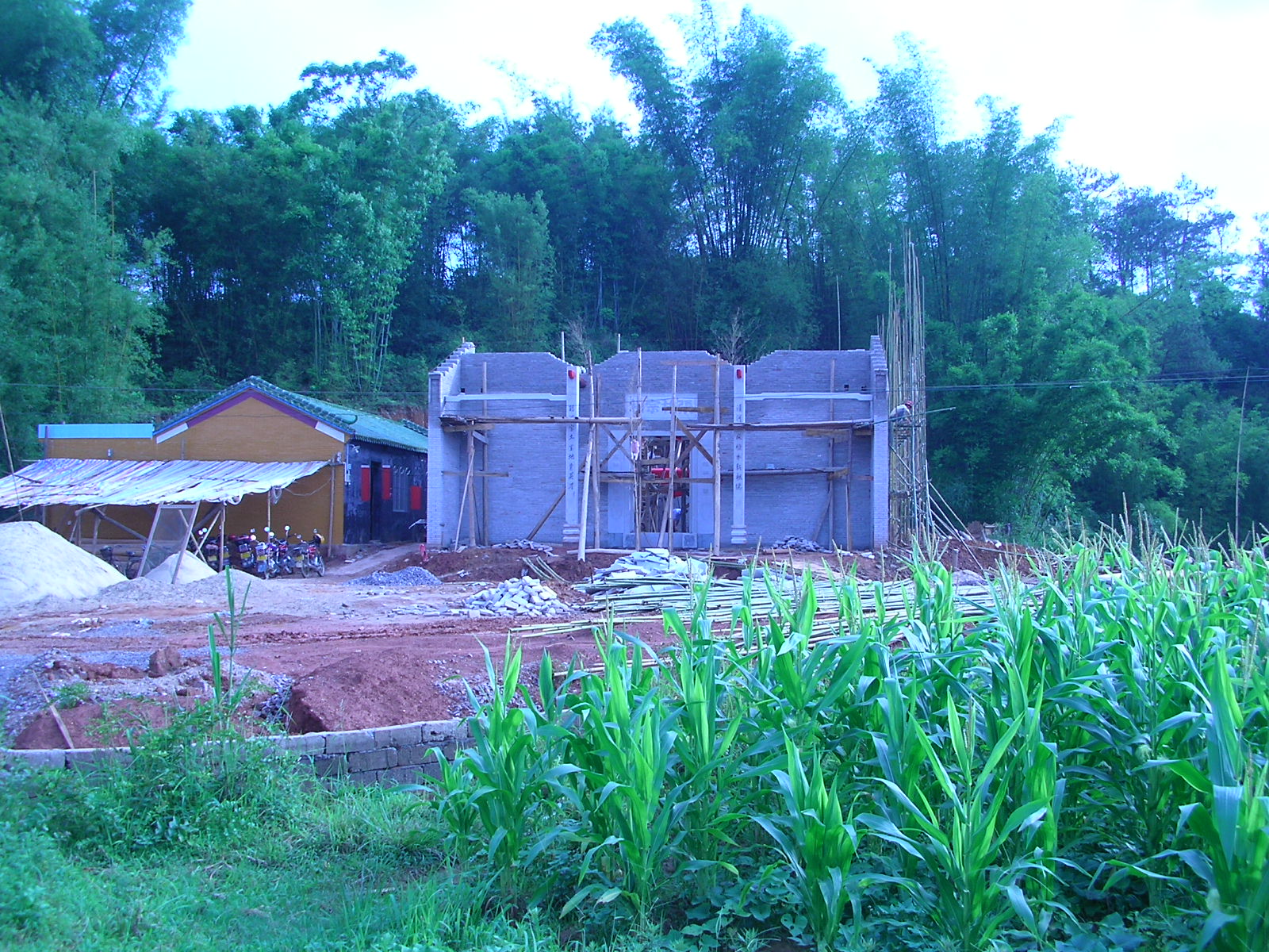 SANY0220.JPG