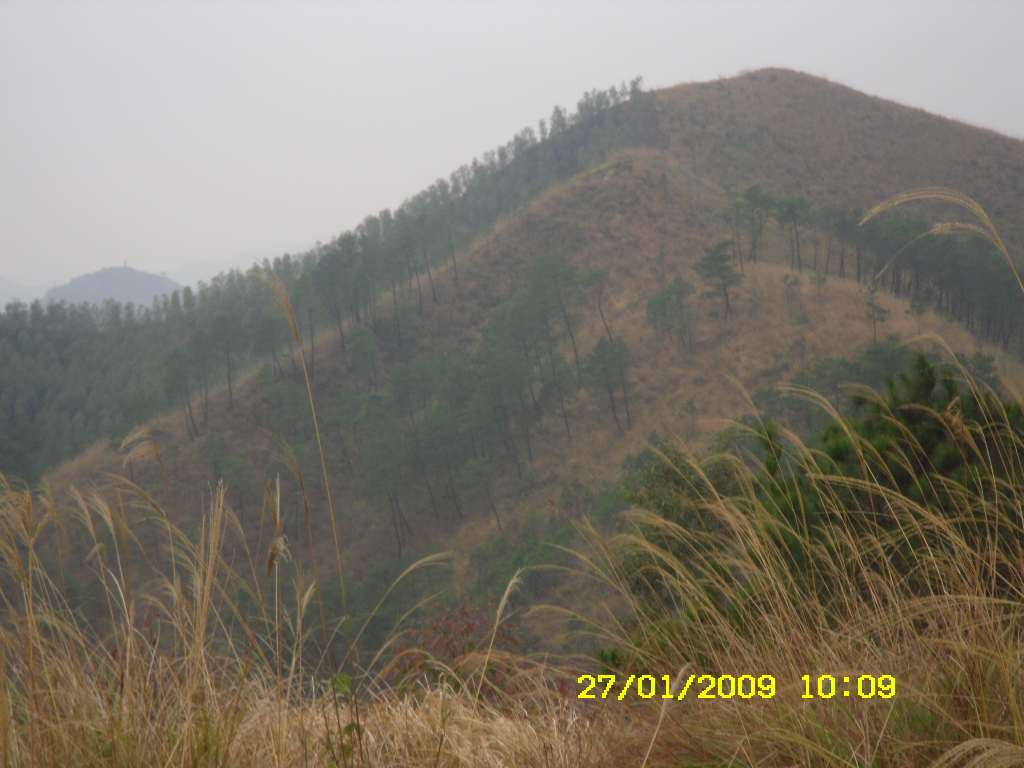 SDC10183.JPG