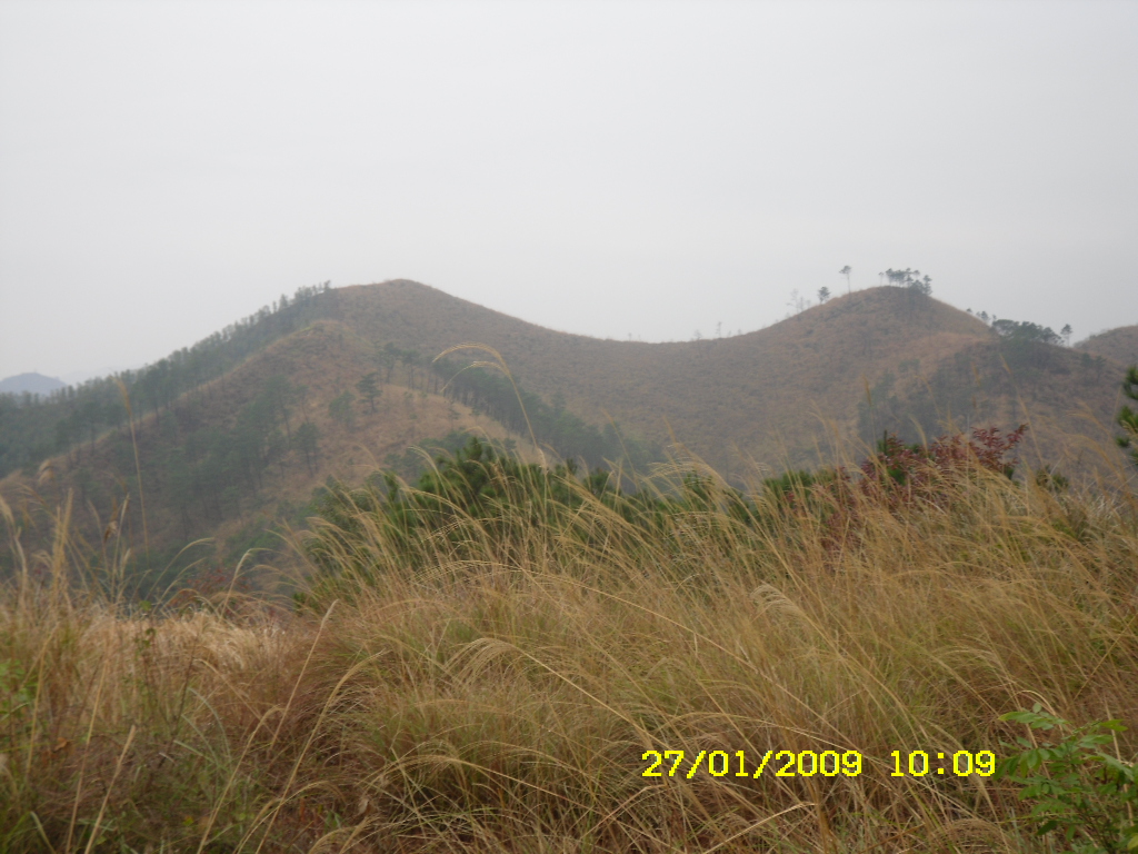 SDC10184.JPG