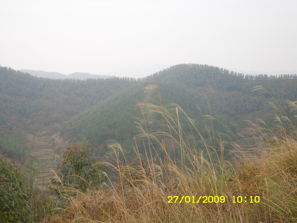 SDC10185.JPG