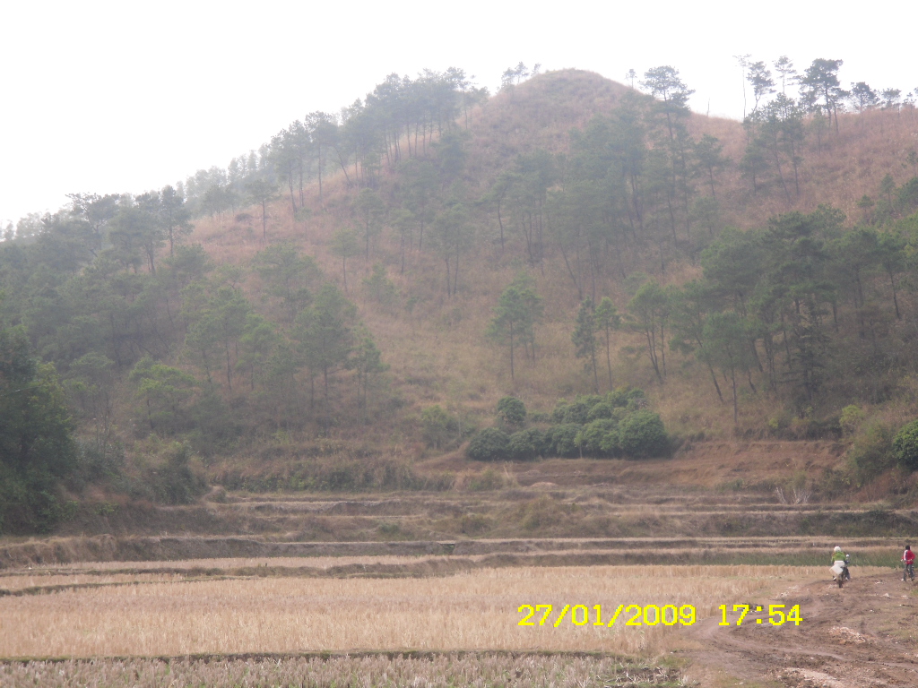 SDC10194.JPG