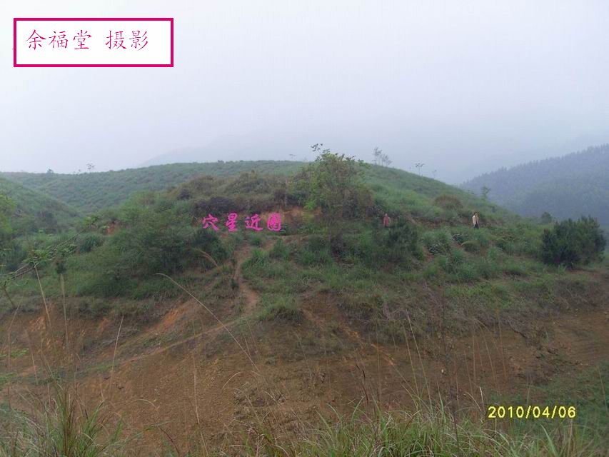 SL373471.jpg