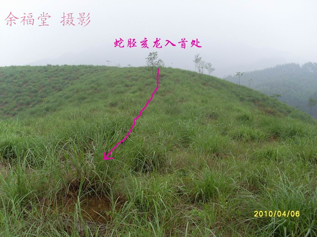 SL373473.jpg
