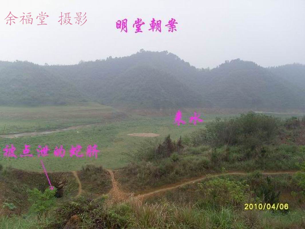 SL373477.jpg