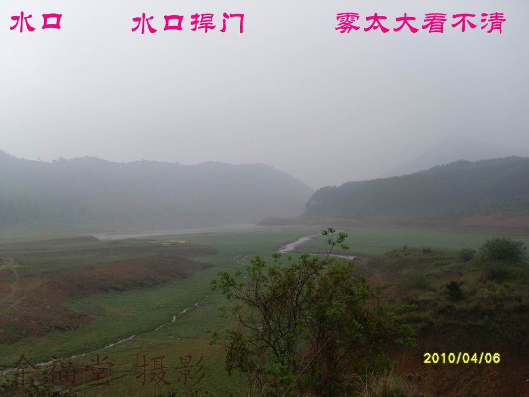 SL373482.jpg