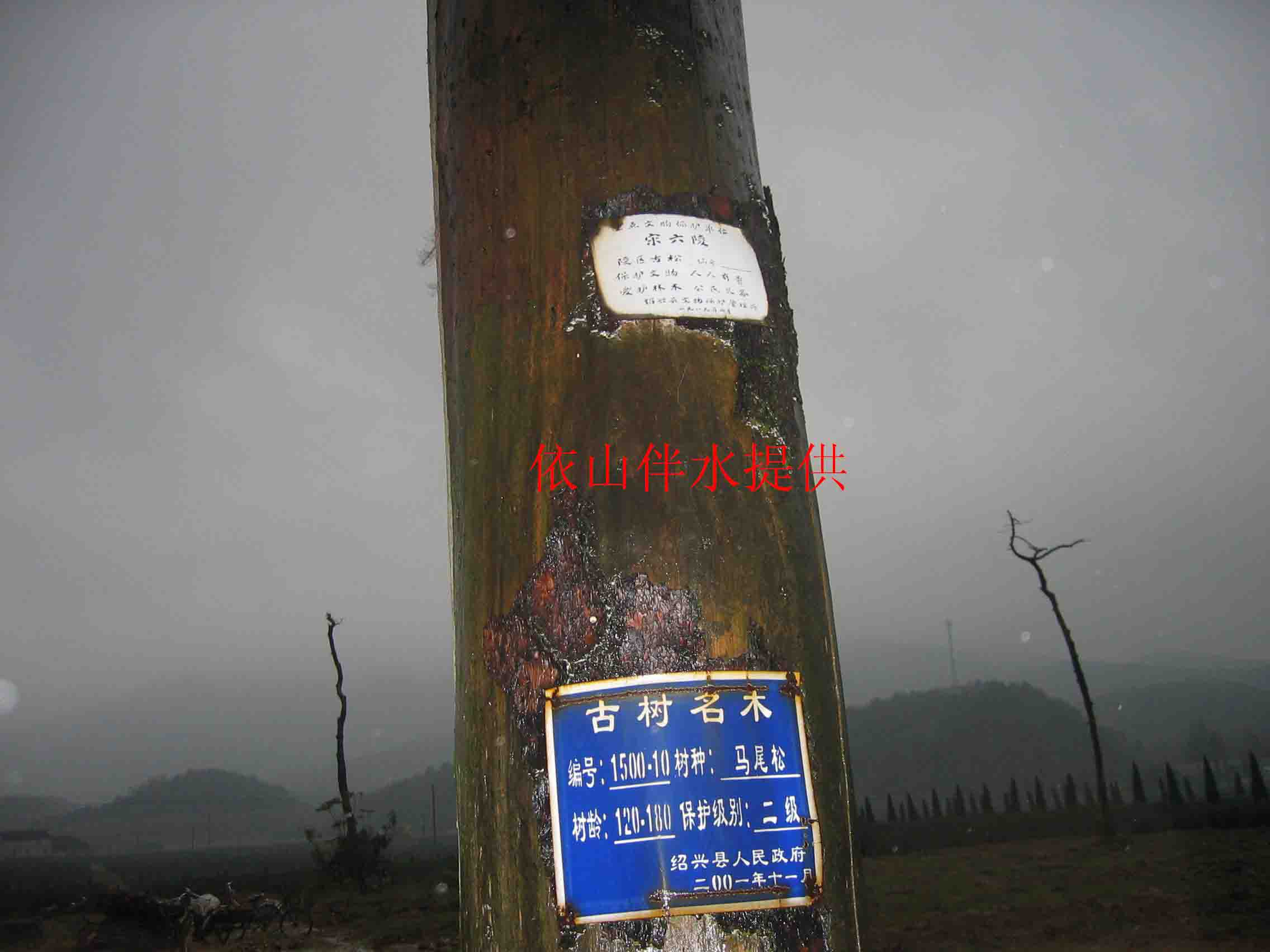 IMG_0001 拷贝.jpg