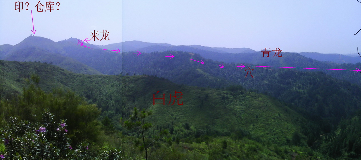 站在白虎方照的