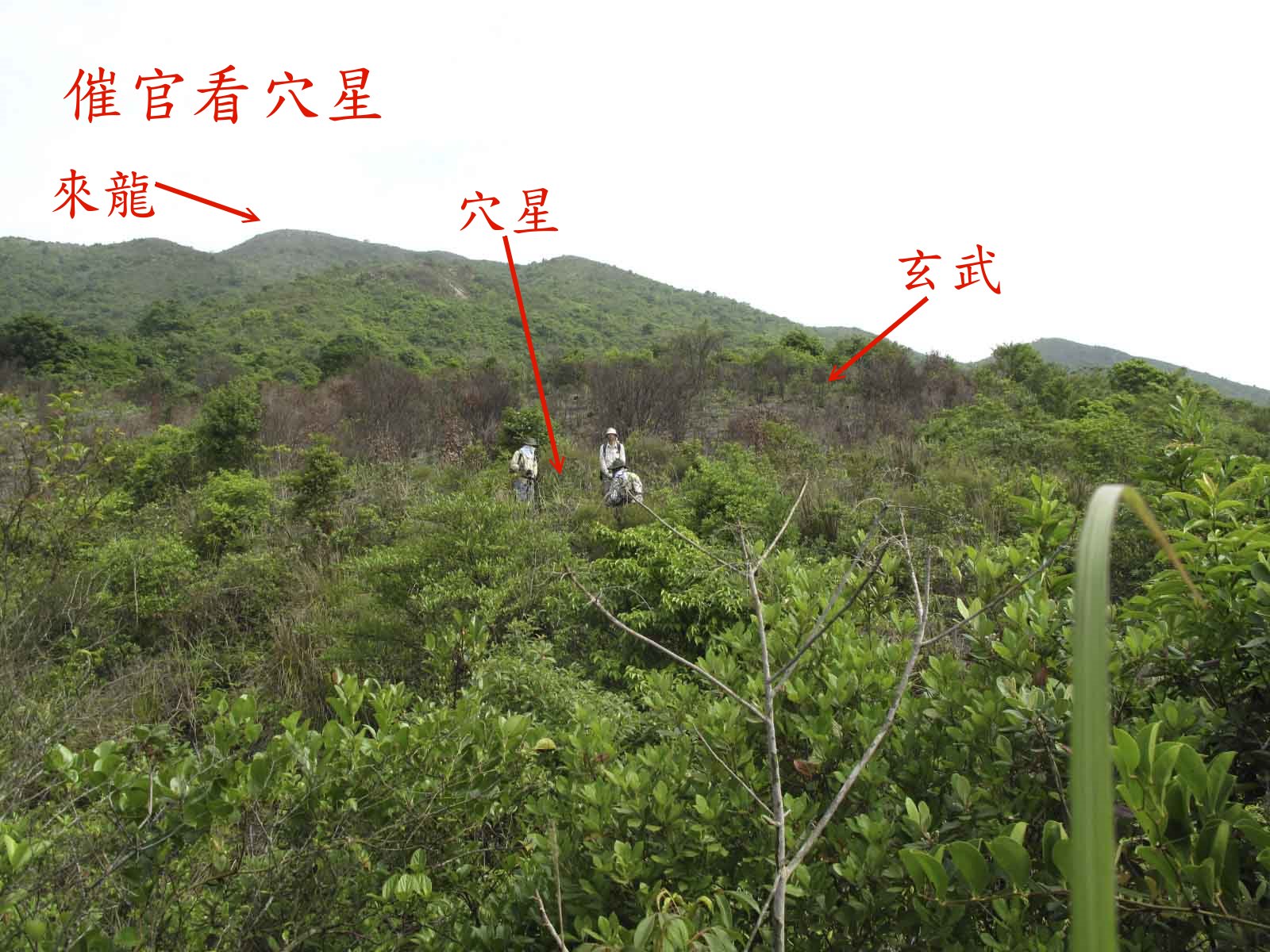 催官看穴星