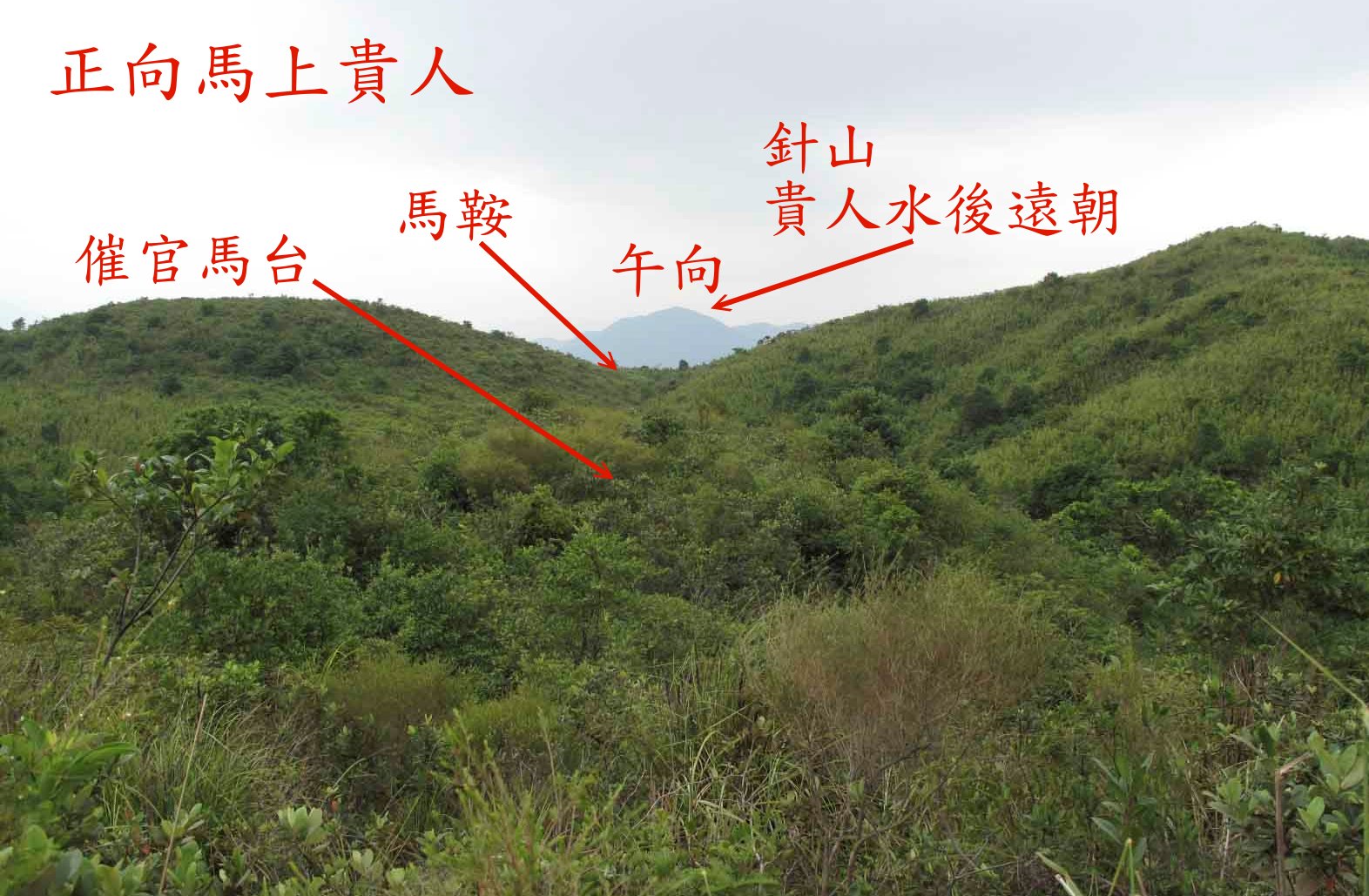 正向馬上貴人