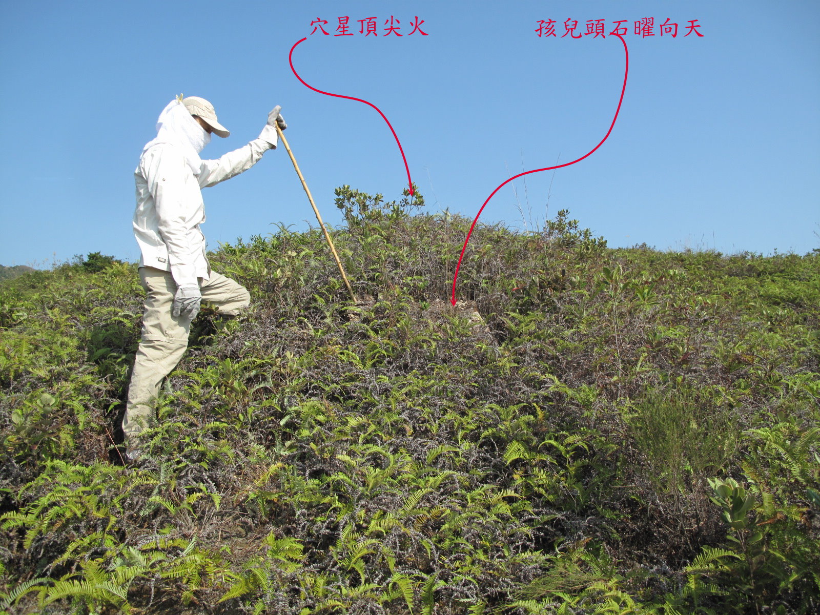 IMG_4554a穴星，孩兒頭尖火.jpg