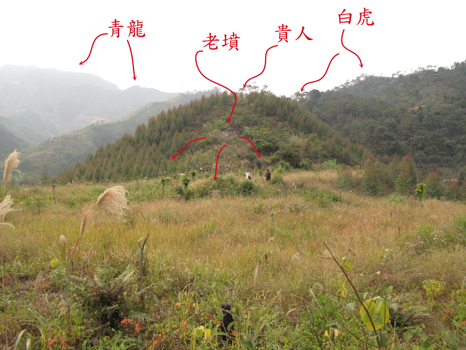 貴人正面看