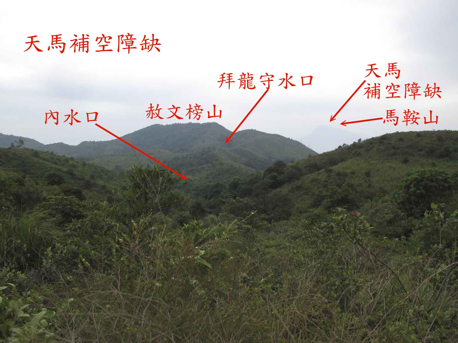 天馬補空障缺