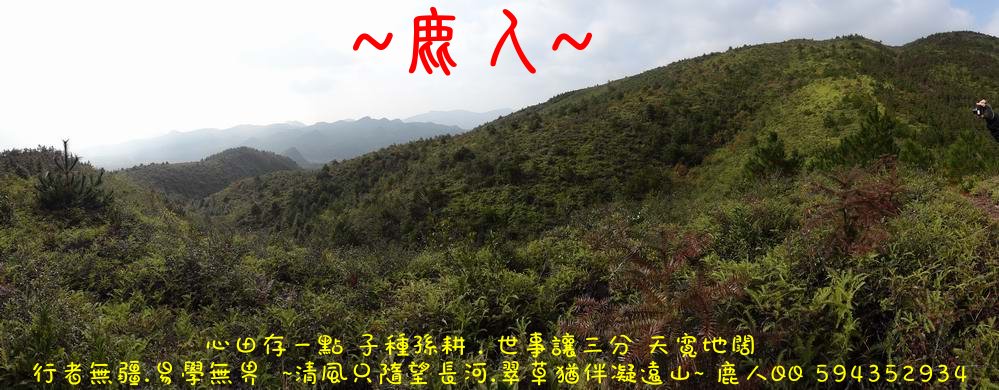 beautiful_龍01_1.JPG