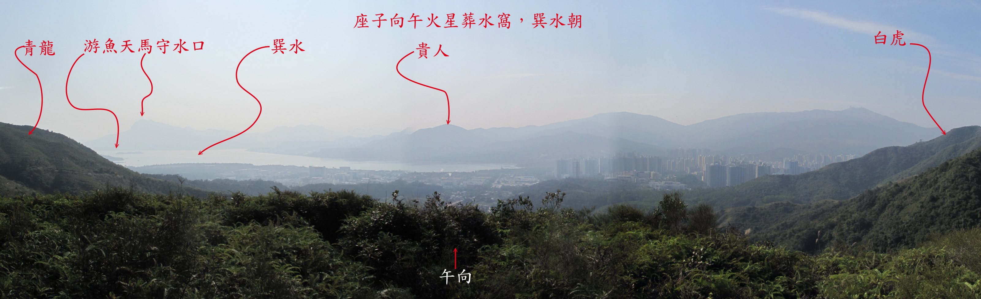 merge 23aa天馬游魚守水口.jpg