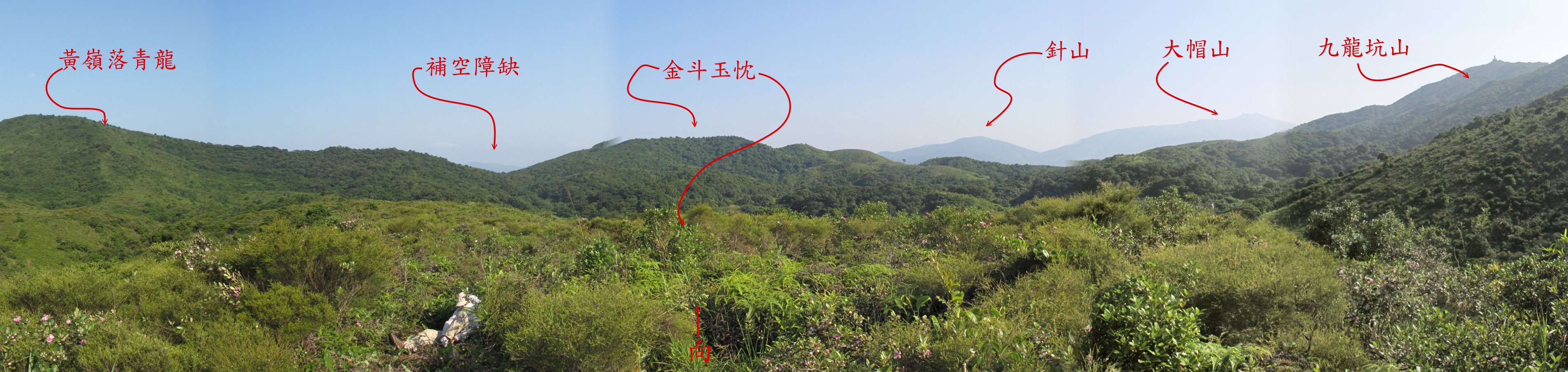 金斗玉忱