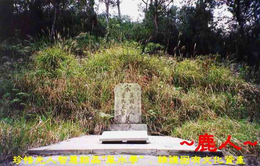 宋史家_翼國夫人墓6.JPG