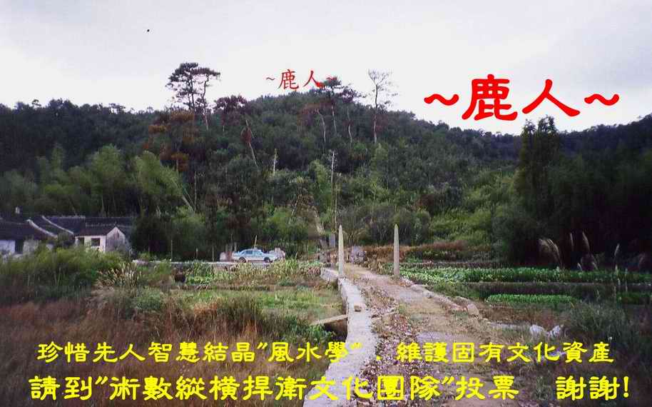 宋史家_翼國夫人墓2.JPG