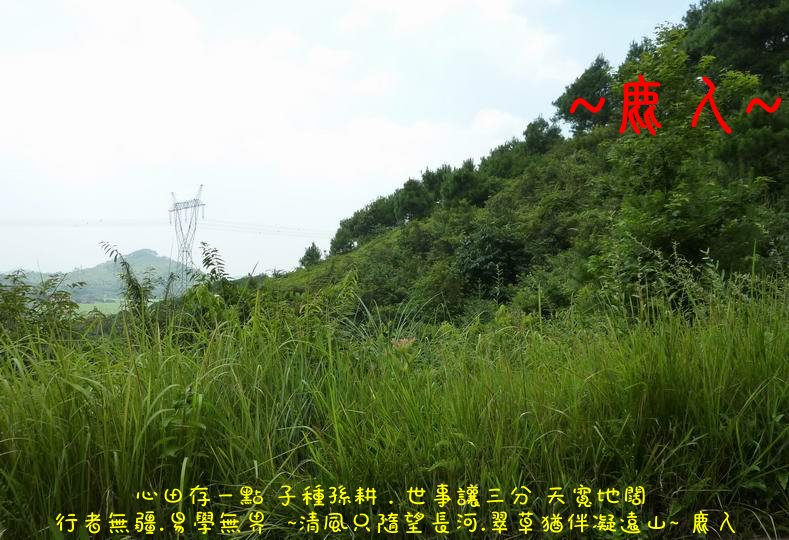 我行我行我佇足_05_2.JPG