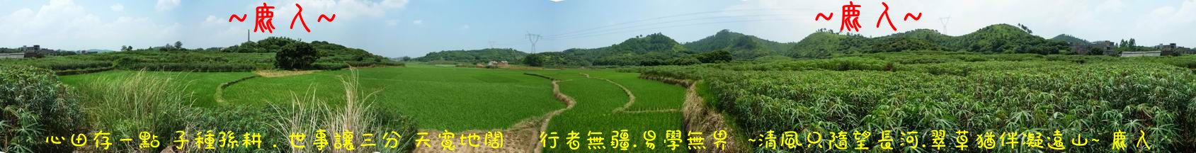 我行我行我佇足_02.JPG