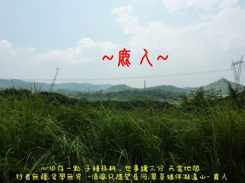 我行我行我佇足_05.JPG