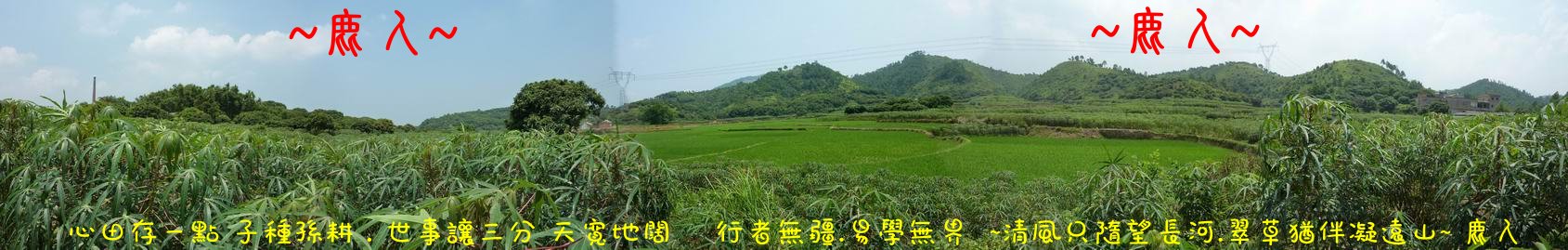 我行我行我佇足_01.JPG
