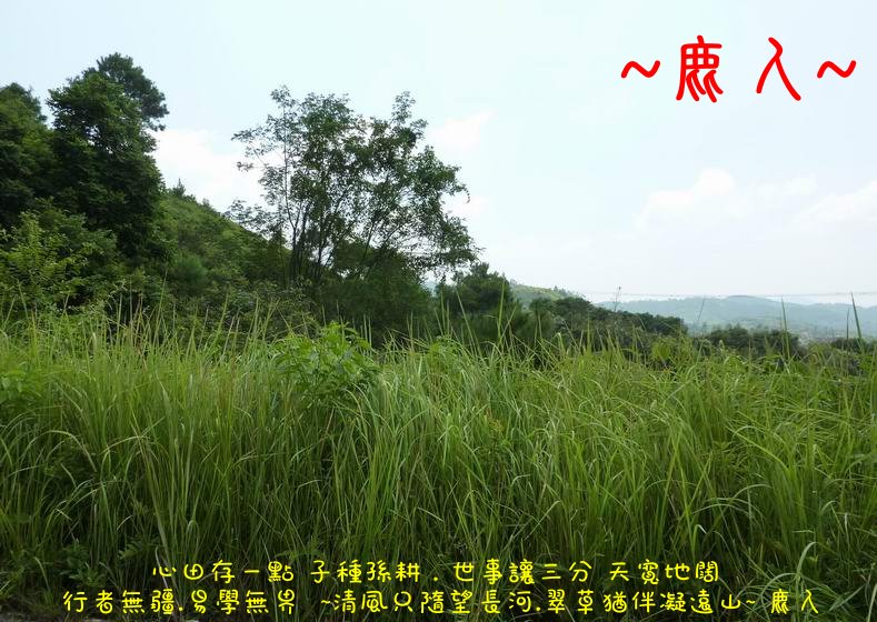 我行我行我佇足_05_1.JPG