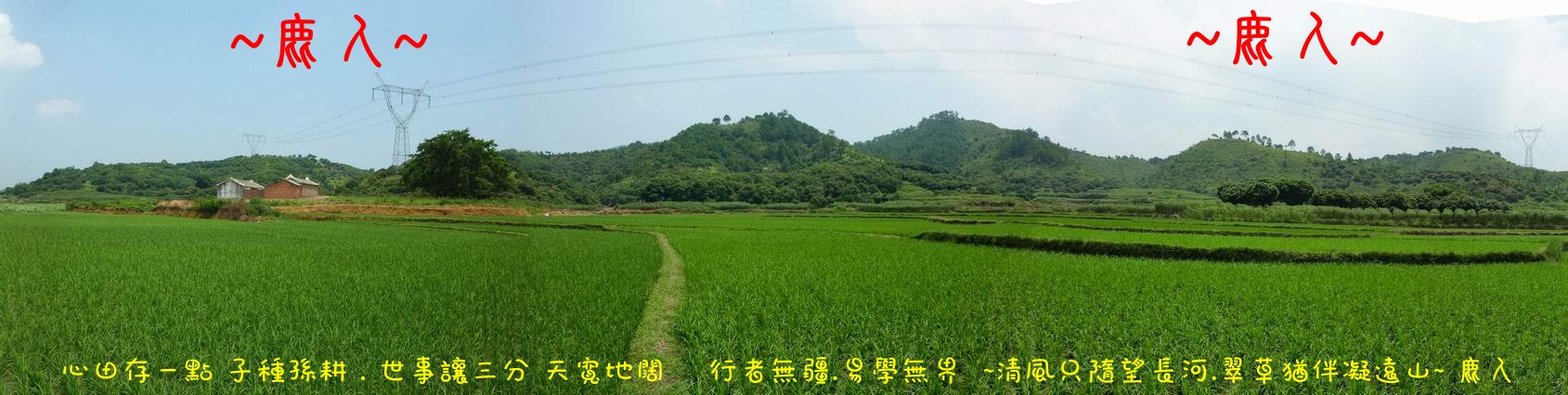 我行我行我佇足_03.JPG