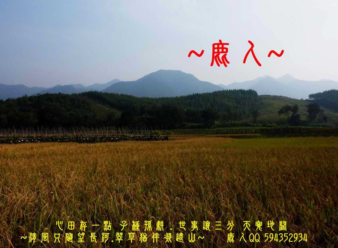 一橫_01.JPG