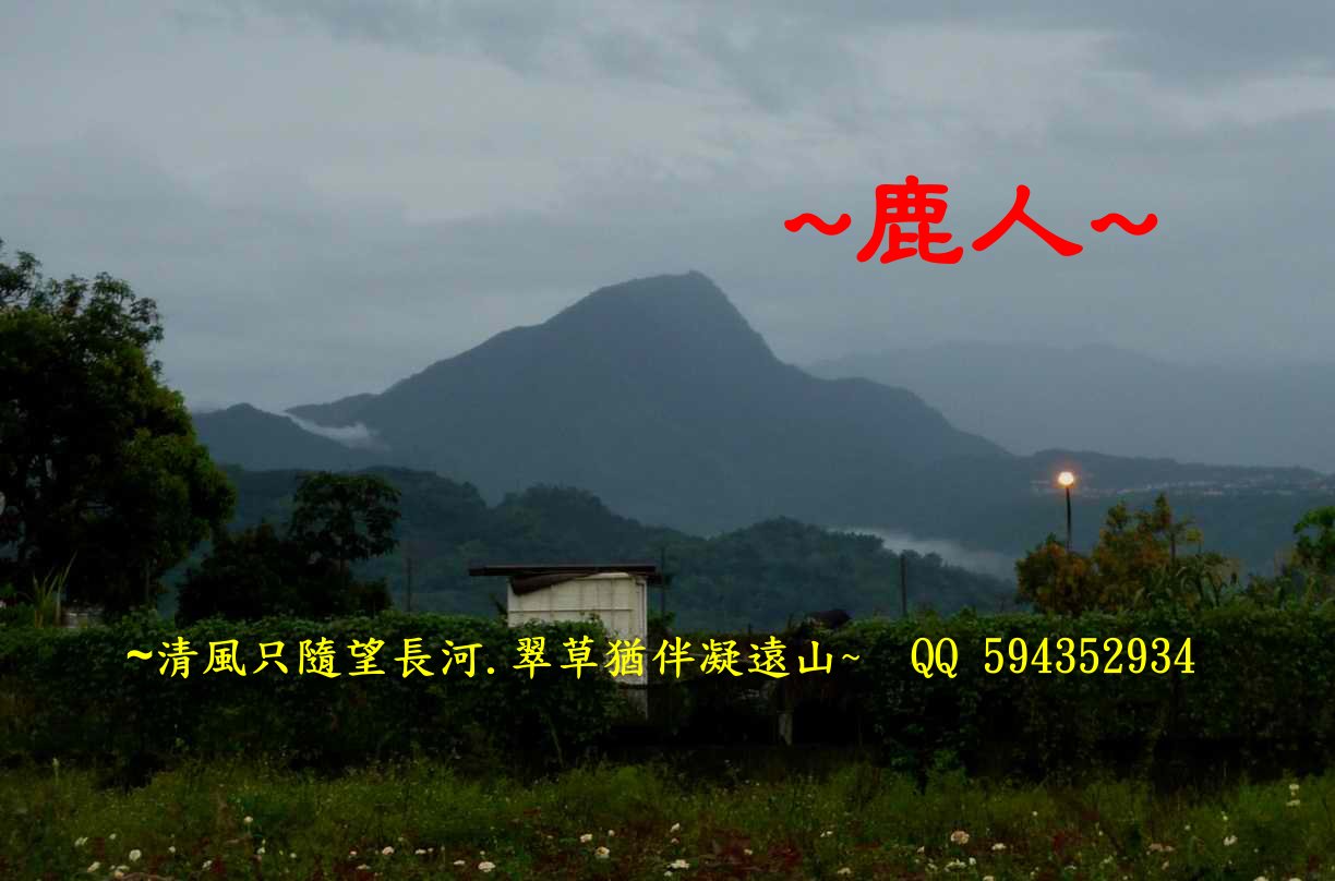 一盞明燈_30i.JPG