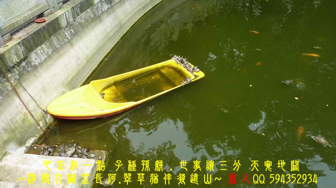 一樣心境看世界_003.JPG