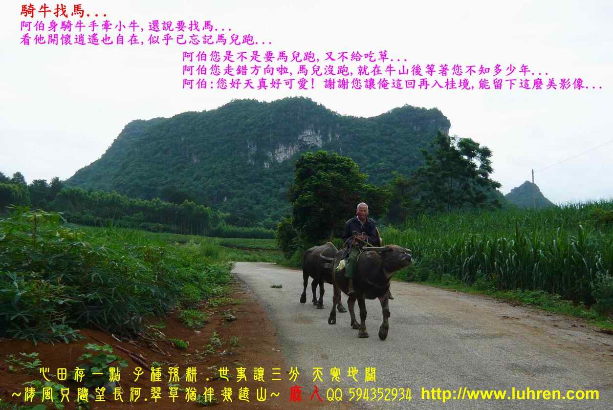 一樣心境看世界_002.JPG