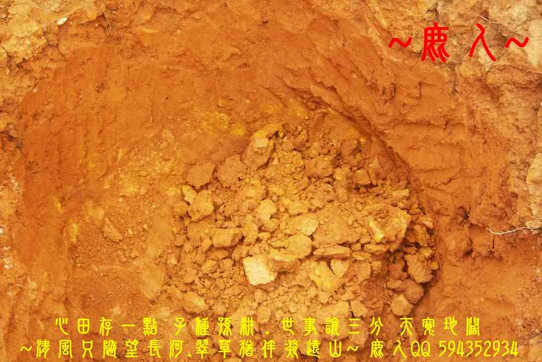 一輪明月照當頭_06.JPG