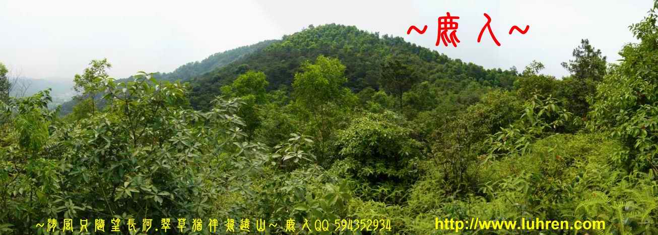 一輪明月照當頭_04.JPG